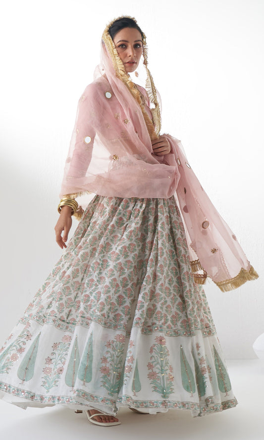 Jahanara Mughal Pink Block Printed Lehenga Set - Set of 3