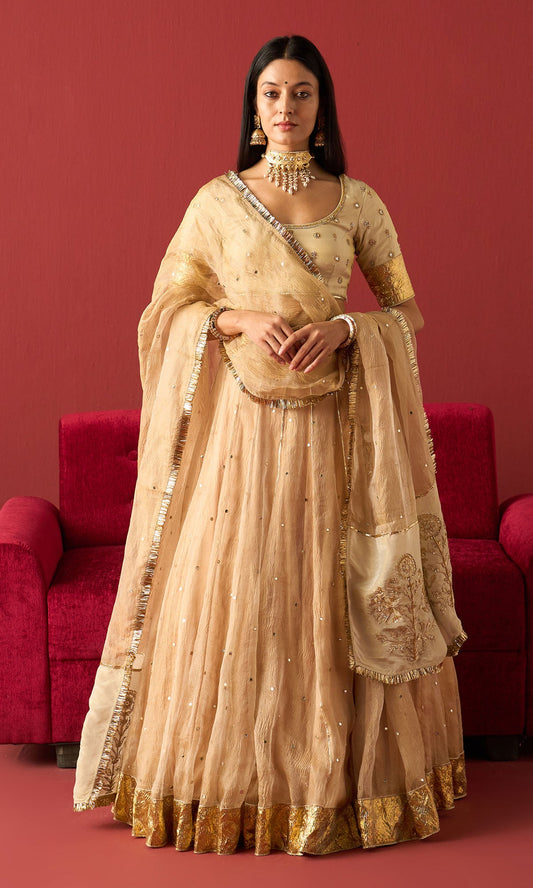 Rangeela Gold crush tissue lehenga with embroidered blouse and tissue dupatta( set of 3)
