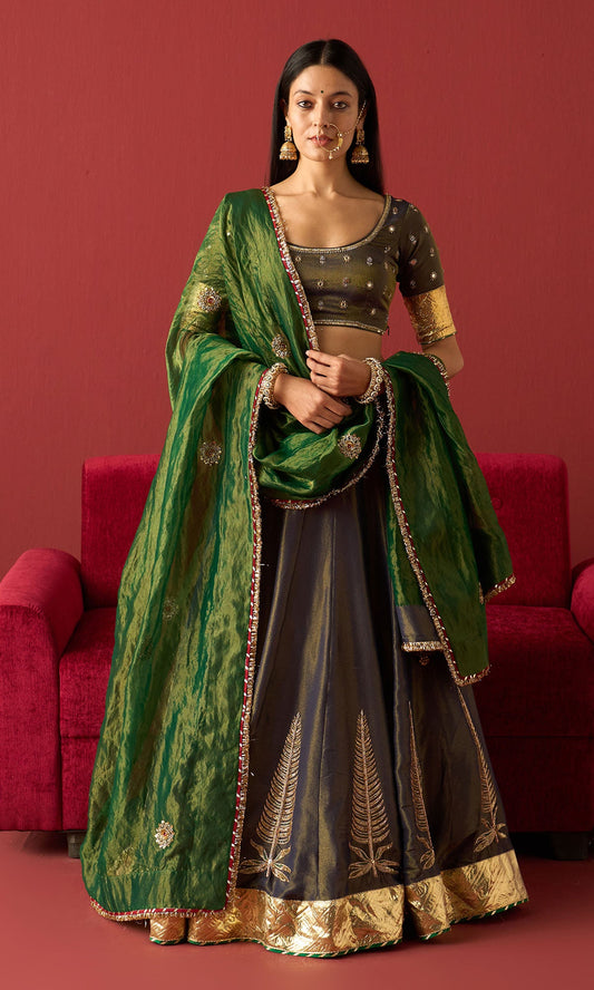 Rangeela Blue tissue embroidered lehenga with blouse and green tissue dupatta ( set of 3)