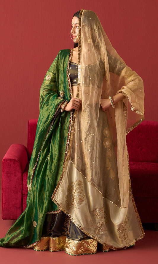 Rangeela Blue tissue embroidered lehenga with blouse and 2 tissue  dupattas ( set of 4)